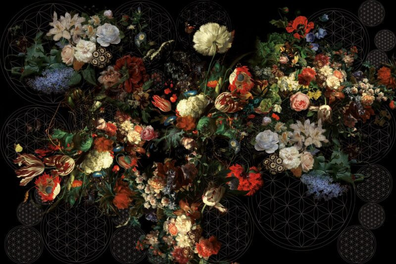 Schwarze Tapete mit Blumen Frida variant 1
