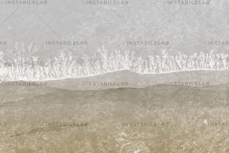 Tapete mit stilisierter Natur Isla variant 2